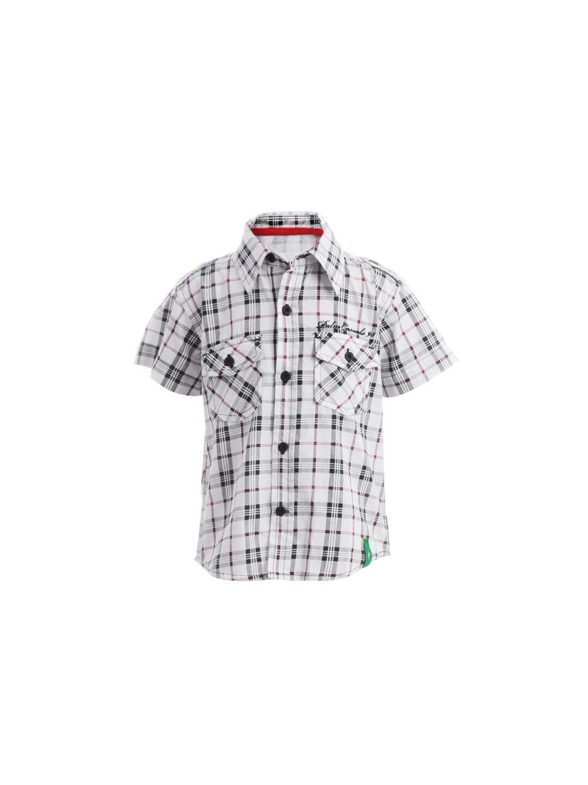 Palm Tree Boys's Shirts